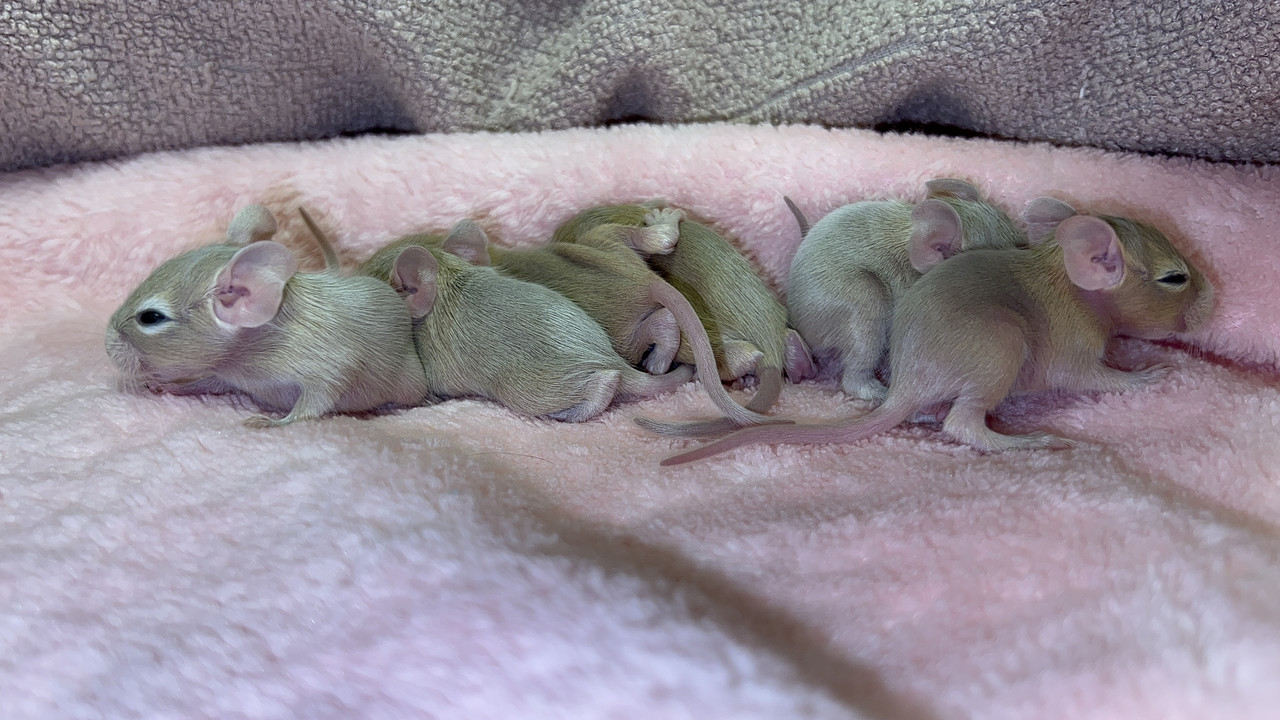 2F143942-BECC-4928-82F2-2D2B193F1A7F