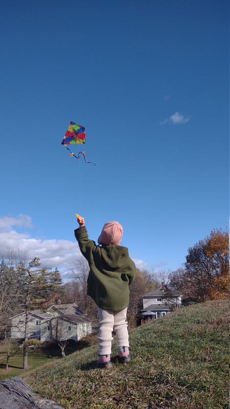 IMG 20251112 135123341