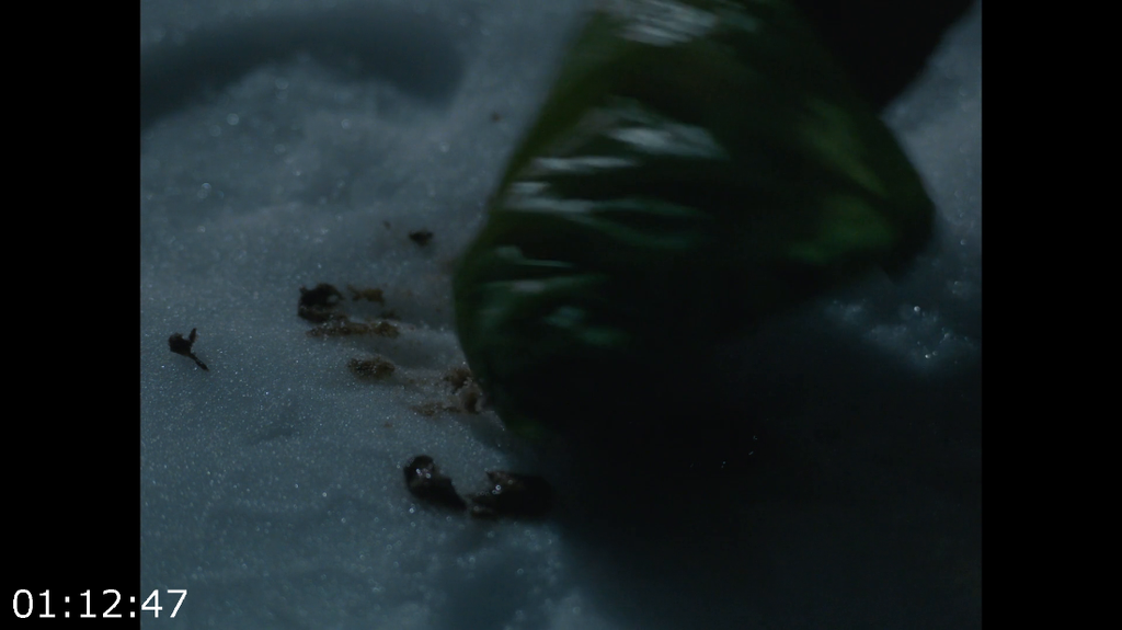 [Kép: The-Heirloom-2024-1080p-OT-WEB-AAC2-0-H-264.png]