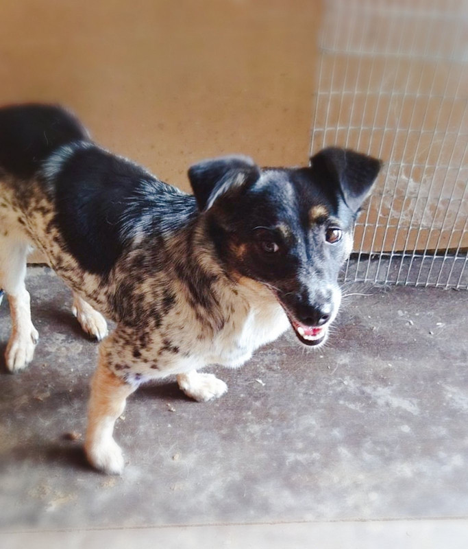 5CA71489-70F2-429E-A452-25E7155429A5