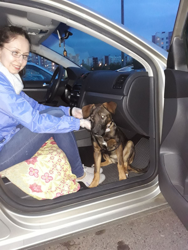 побег с гурского