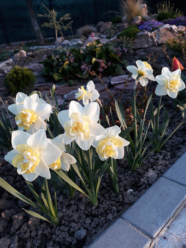 20180412_072137