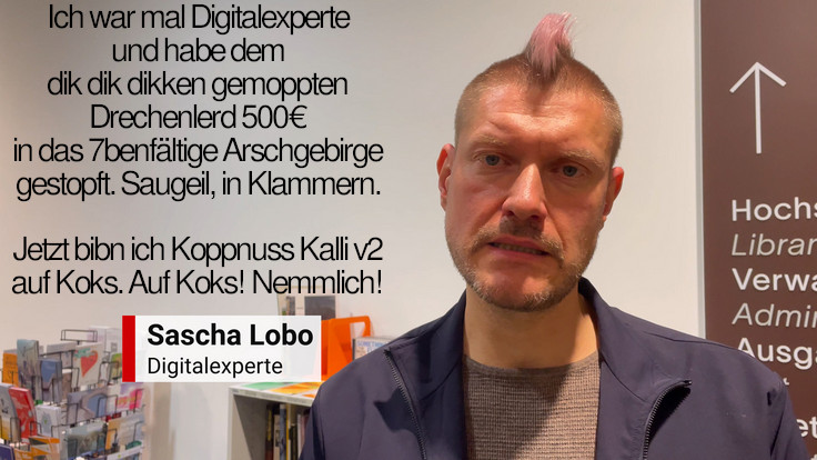 Lobo2025.jpg