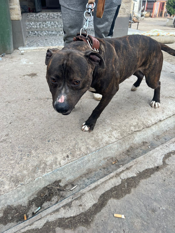 WhatsApp Image 2024-04-07 at 17.21.54 (3)