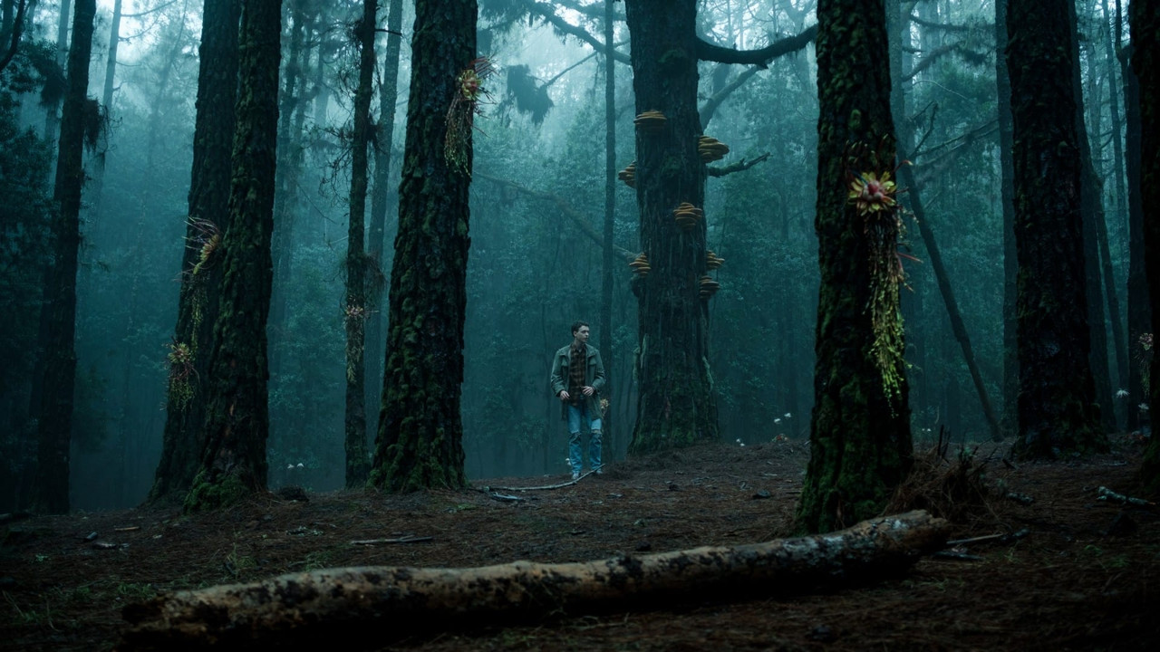 79eIfhx4O4m3NXzX8zVOj7cbbAA