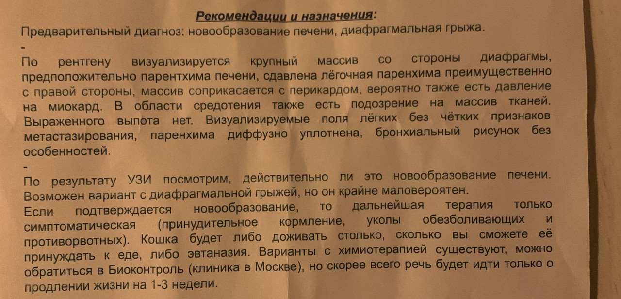 D27A2D92-38A4-4BD7-BBB3-AAEC8A7AF236