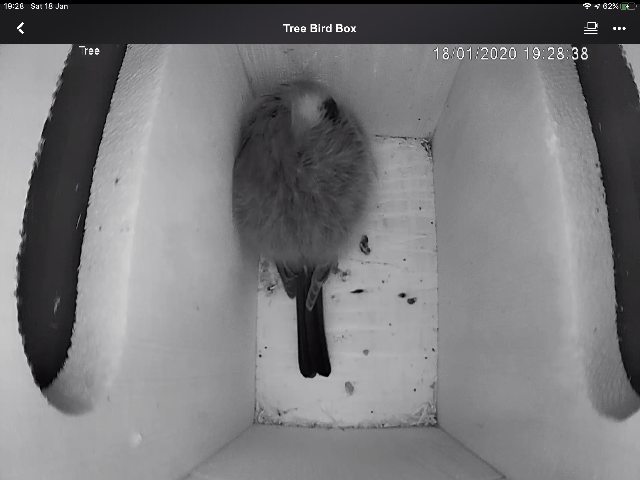 9EA714FE-DEB6-4D54-99ED-0171F2B5487B