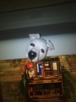 Pet keepsake customer photo