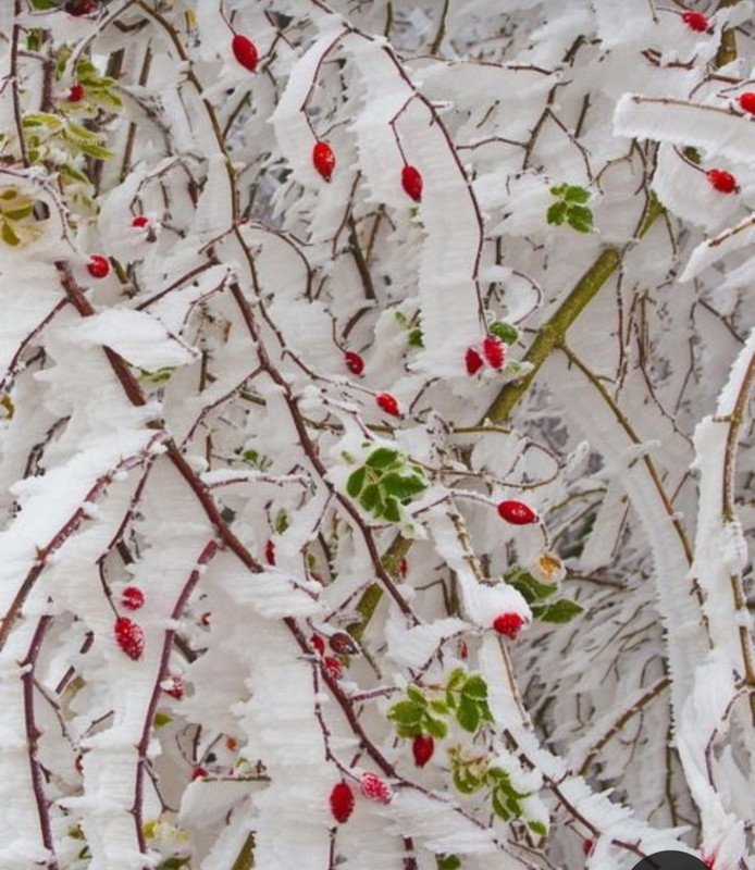 Screenshot_20230327_234151_Pinterest