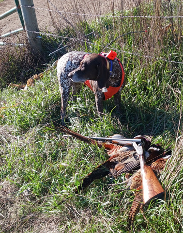 [Linked Image from i.postimg.cc]