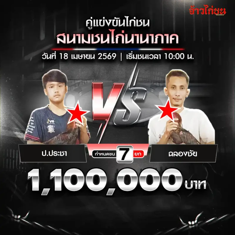 โปรแกรมไก่ชน สนามชนไก่นานาภาค 18 เมษายน 2569 ป.ประชา vs ฉลองชัย