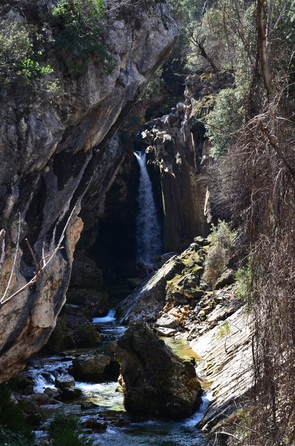RUTA RIO BOROSA-12-3-2016-JAEN - Paseando por España-1991/2016 (77)