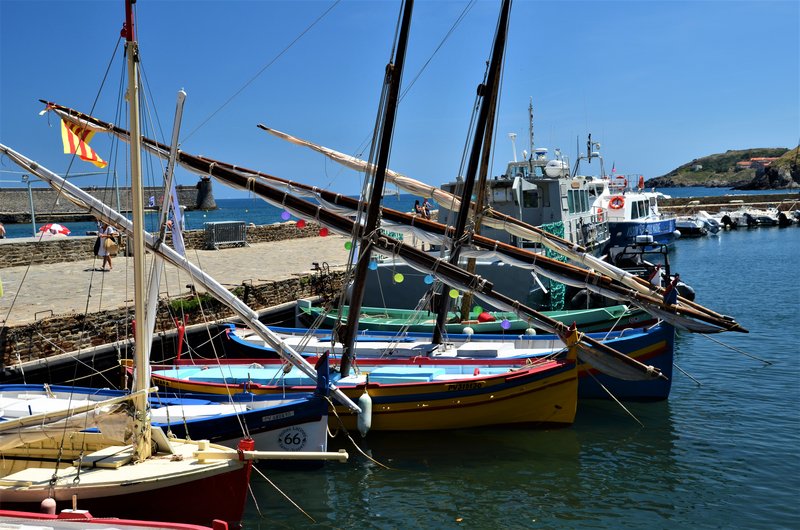 Francia y sus pueblos-2016/2022 - Blogs de Francia - COLLIOURE-28-6-2016 (21)