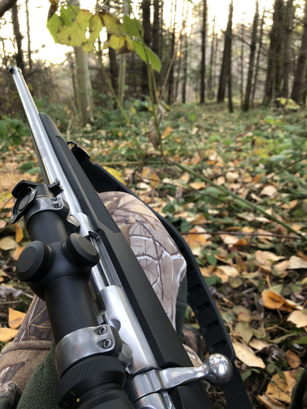 47F42F2C-D357-4362-991E-D16597E37AB1