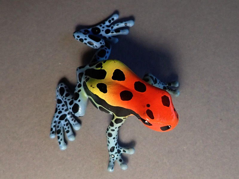 Three new beautyful poison dart frogs from Bullyland :-) Bully68521-Back