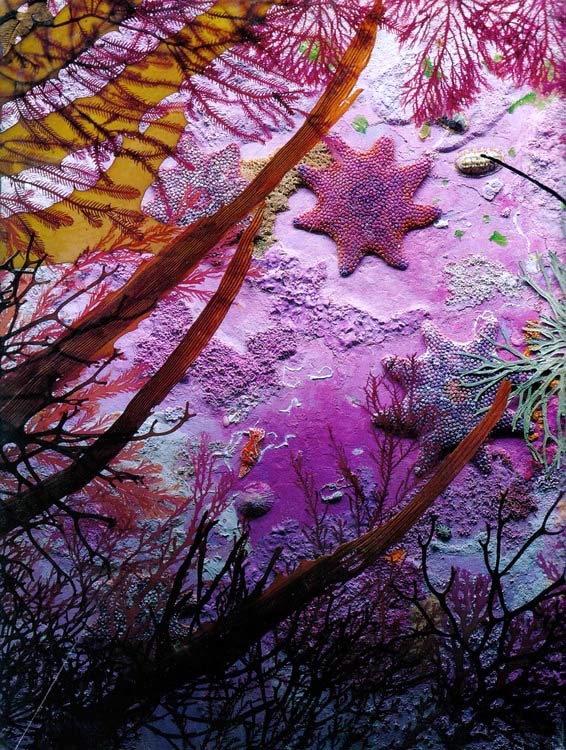 main-qimg-466dc29bee7d403e3a25b13503bc66f0-c