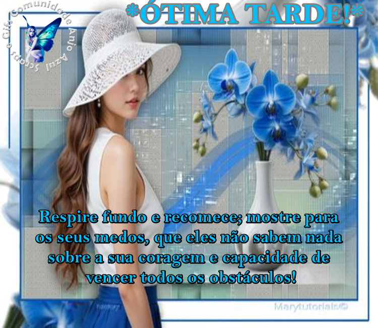 Uma boa tarde para si, abraço