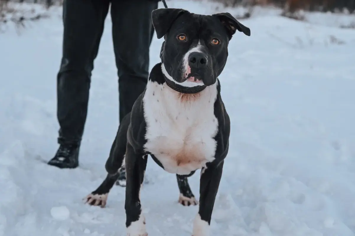 2022-01-13 18-11-09 (5)