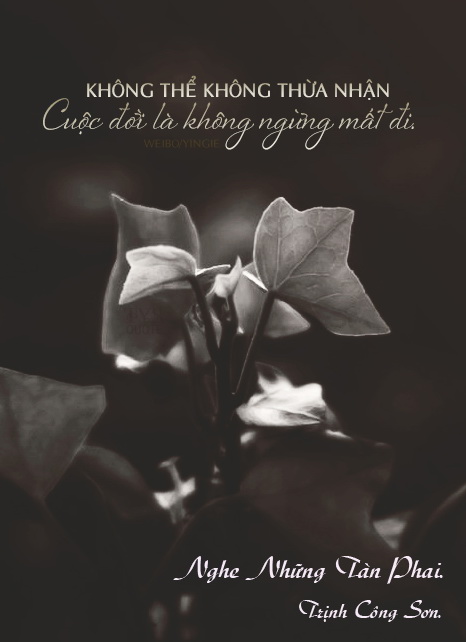 [Image: 7f312c1ace3147fc5dcaf85d2df8805e-copy.jpg]