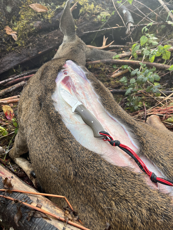 4B7A3222-7888-4904-8DD7-E9E9D449A4D3