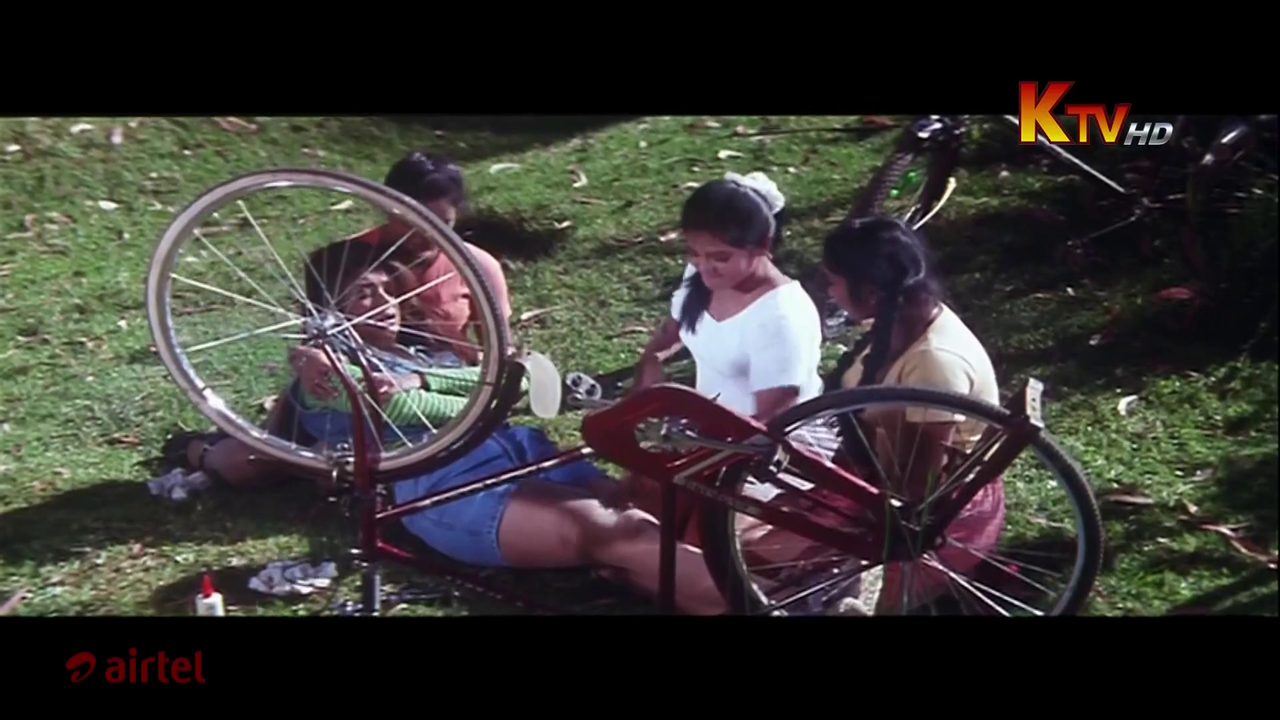 vlcsnap 2026 02 08 17h53m56s286