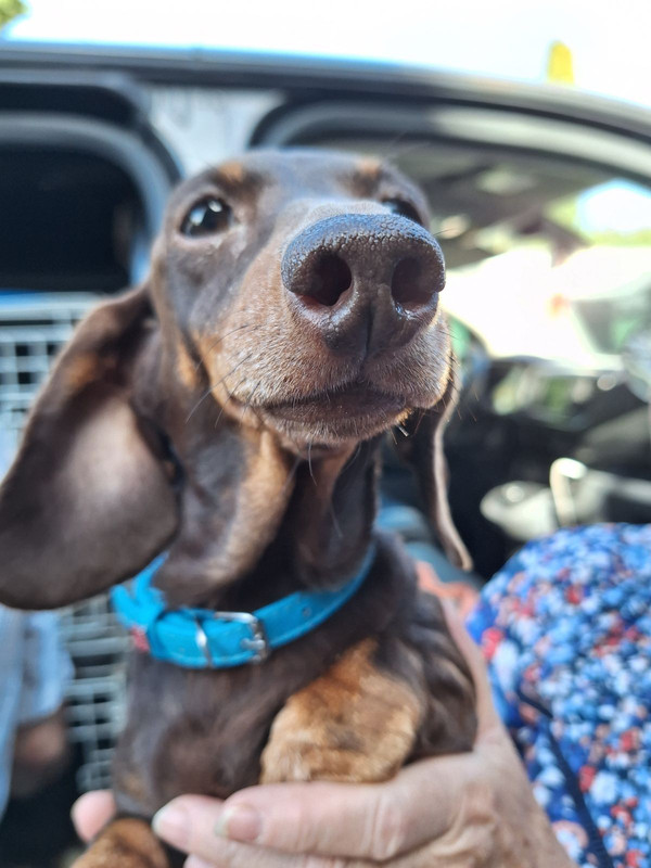 [Image: IMG-20231021-073742.jpg]