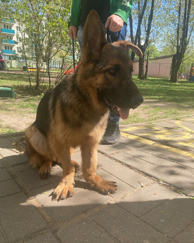 S1i2ucnCD5ix0KrwKftKXdYmTrLtFvjG46_KfPVVIhOQ-7ZW82kcwyKhxBo0NhQXKvSQdu81CTlkhmKQWpqz0YvE