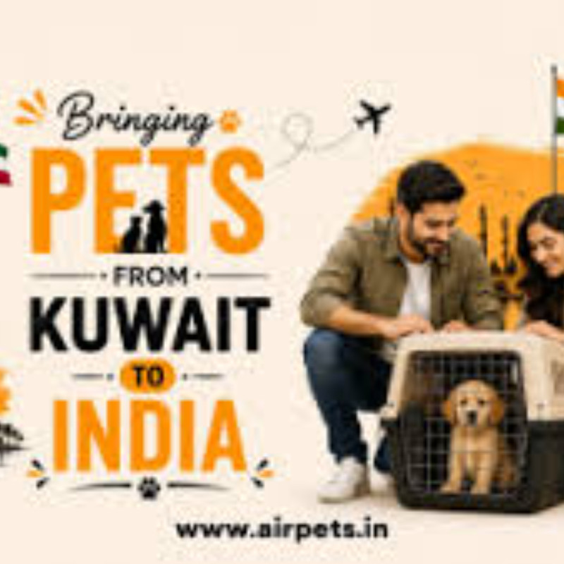 pet kuwait to india