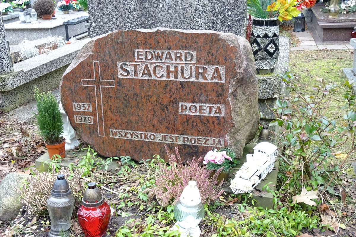 Stachura-Edward