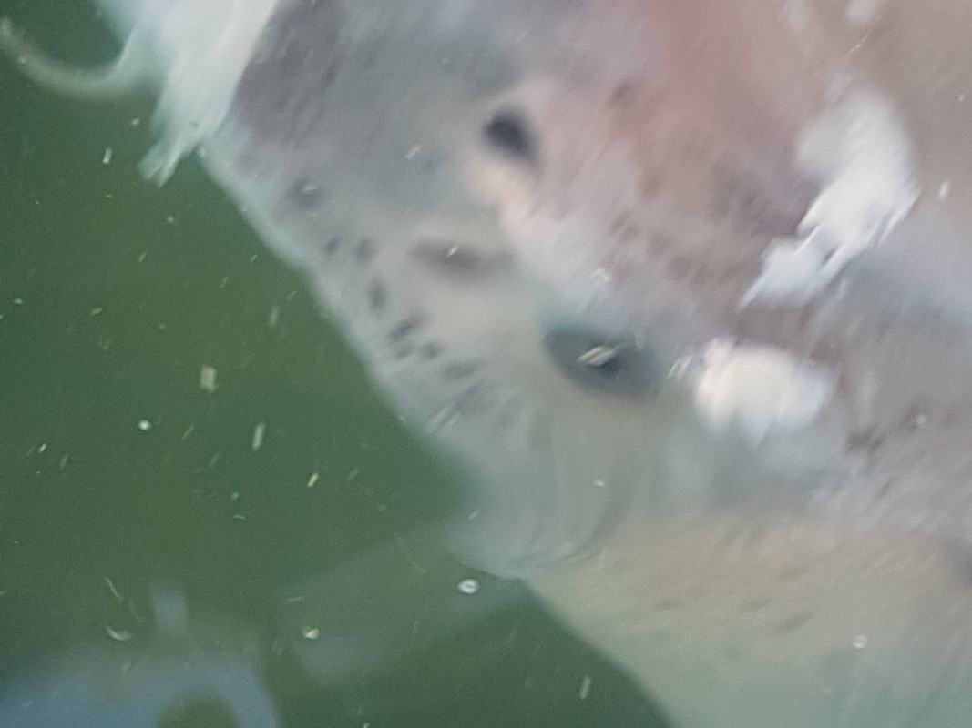 60A2FBA3-ED51-4178-956E-5C81905C84FC