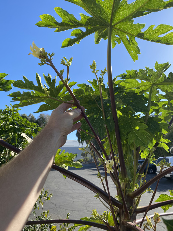 857BF2CE-40F9-4CA0-B83D-E1A202484F9B