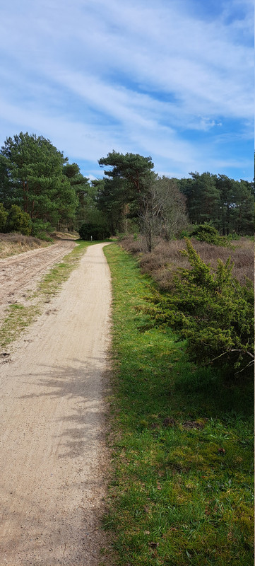 [Afbeelding: 20260403-144809.jpg]