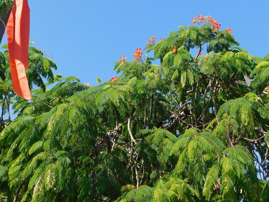 DSCN0736.jpg