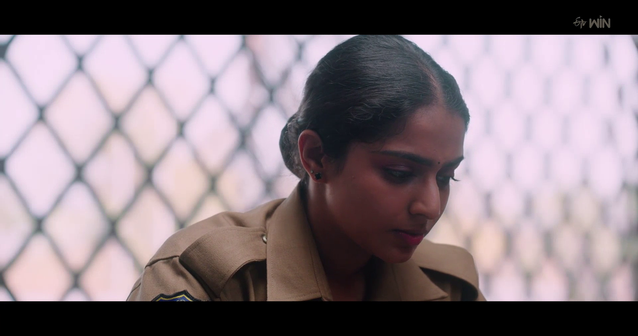 vlcsnap 2026 01 29 18h05m03s484