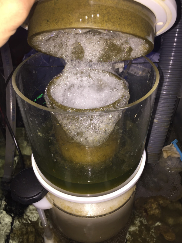 A3740226-7289-4F81-B2CD-BAD5285CA6EE