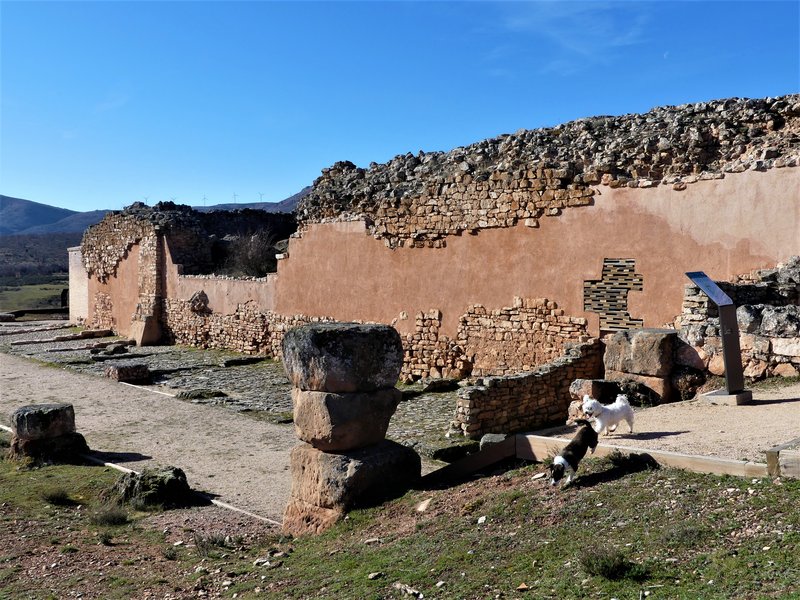YACIMIENTO ARQUEOLOGICO DE TIERMES-16-2-2020 - Soria y sus pueblos-2010/2013/2020 (26)