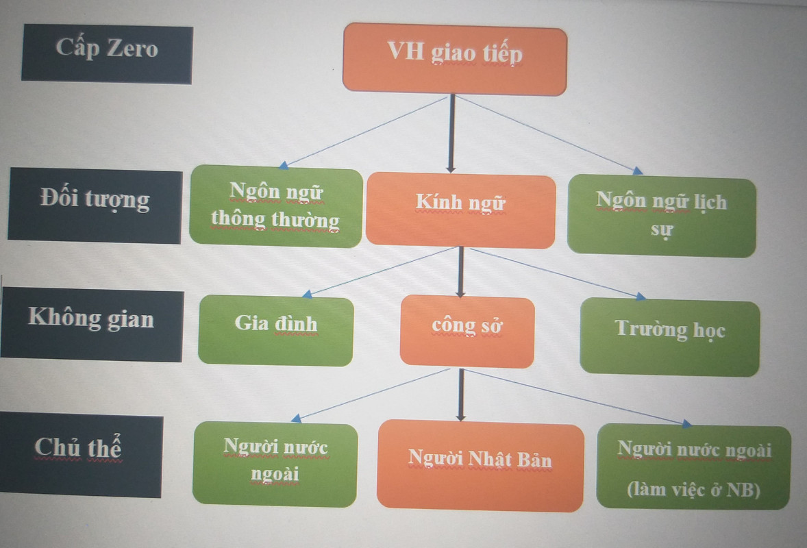 72039236_527850921281483_6663566125369917440_n