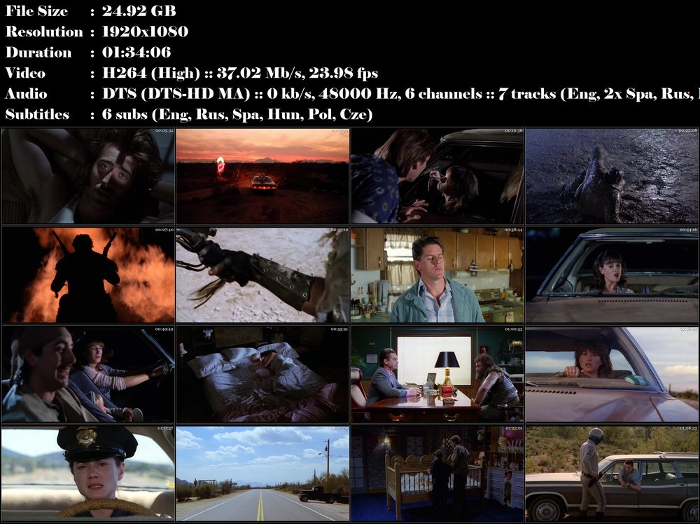 Re: Potíže s Arizonou / Raising Arizona (1987)