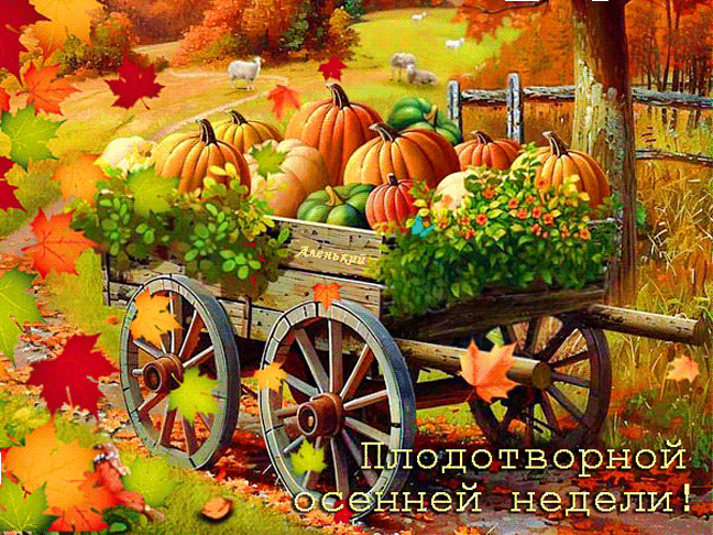 Плодотворной-осенней-недели!