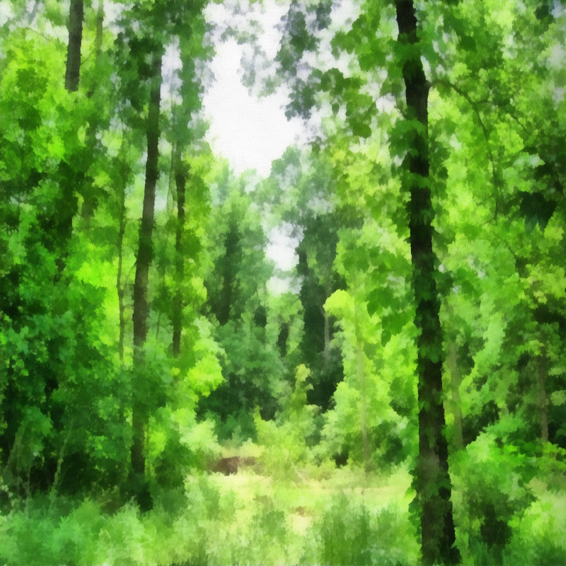 Into The Jungle Papers (15)