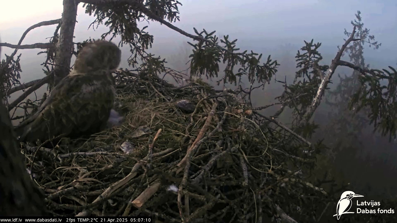 vlcsnap-2025-04-21-07h14m33s909