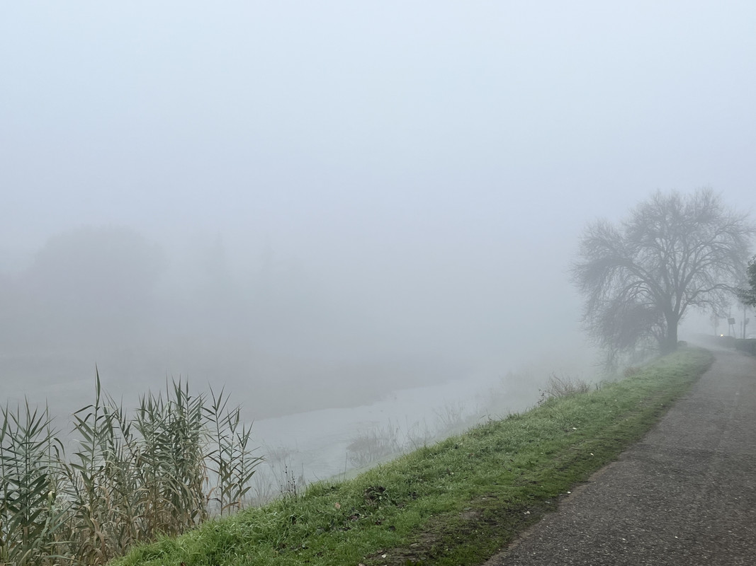 F904BA82-9C97-4031-9AF4-76331A703513