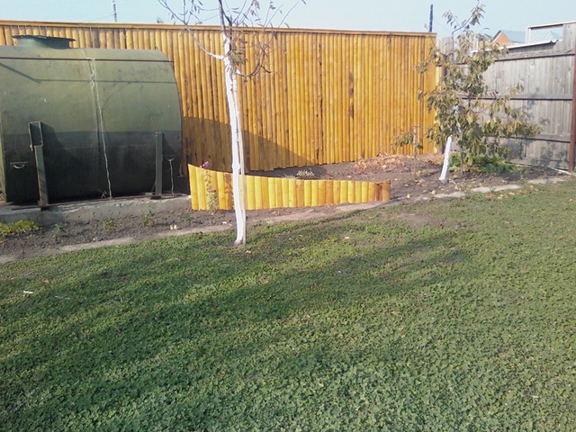 IMG2670-01