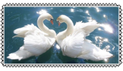 IMG-5172.png