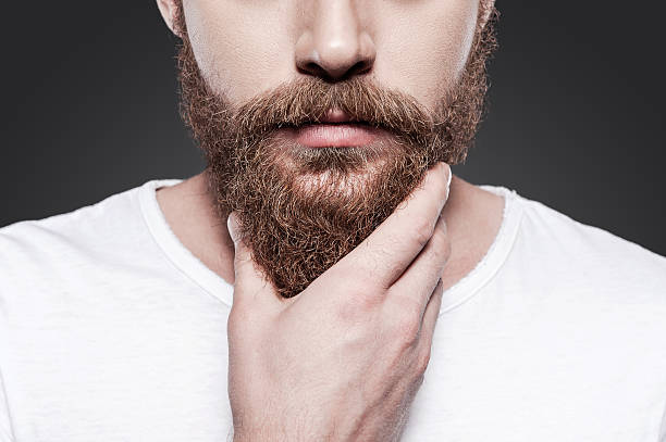 top beard style