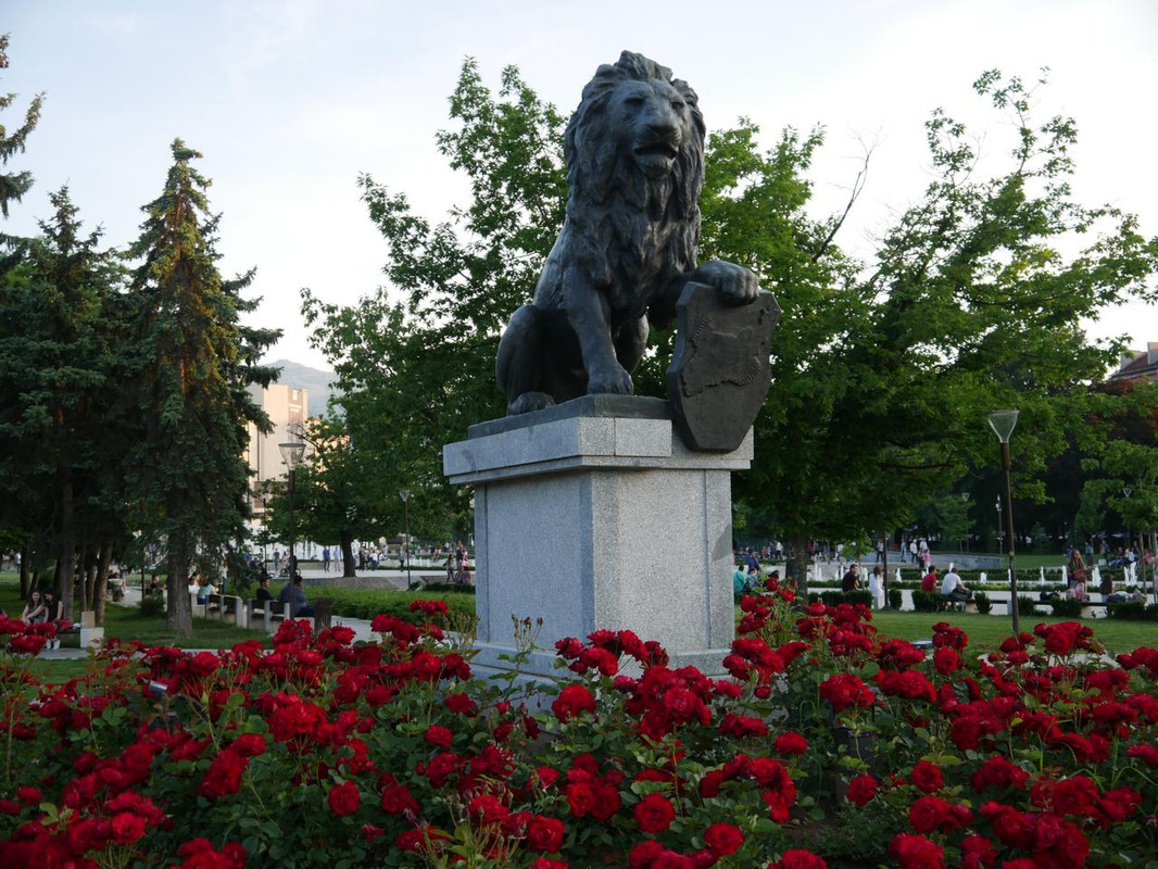 P1170855.jpg