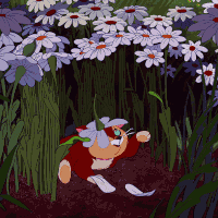 flowers-av.gif