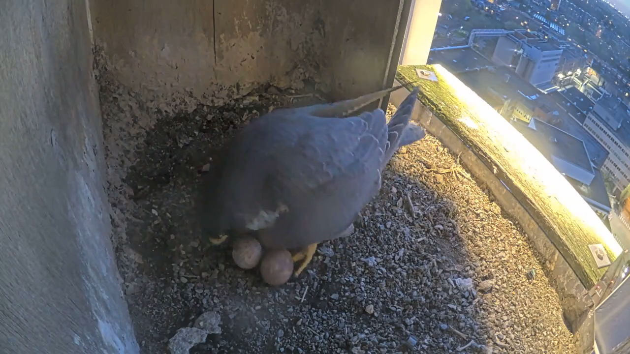 Schermafbeelding 2026 04 06 205653