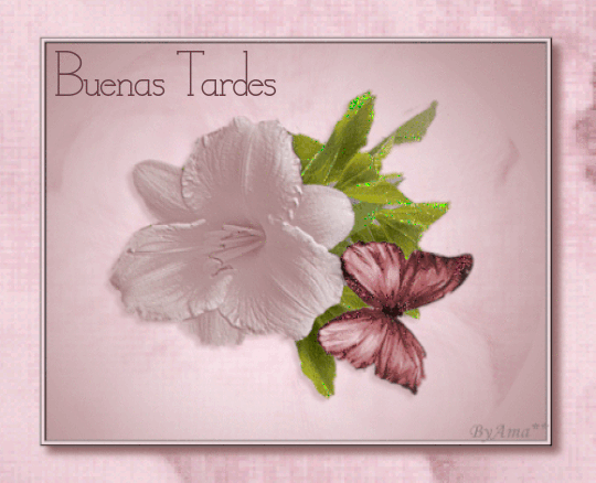 Bella Flor Tardes