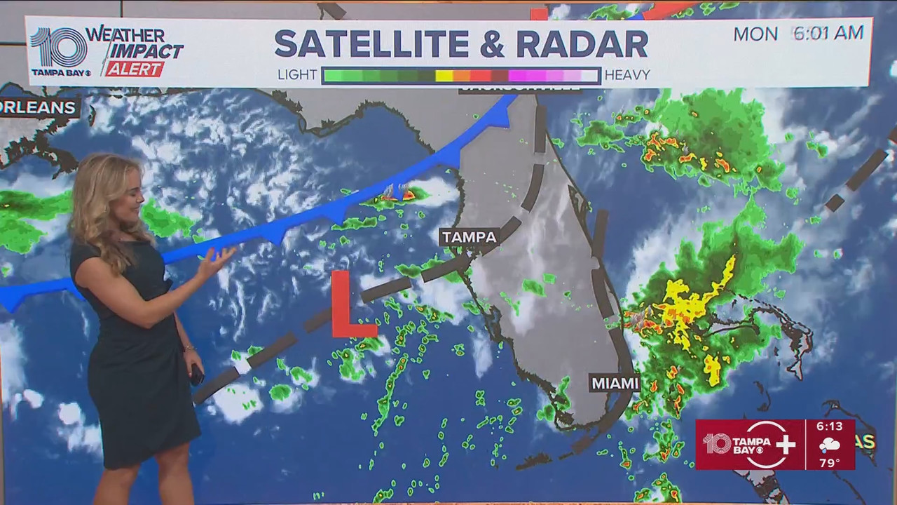 10 Tampa Bay News This Morning at 600 a.m_20250908_11001200.ts_snapshot_15.00.008